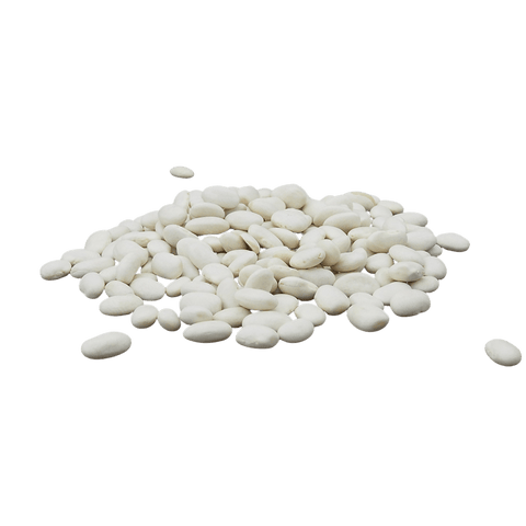 Weiße Lingot - Bohnen - Gewürze online kaufen Altes Gewürzamt